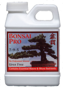Bonsai Pro DGBON008
