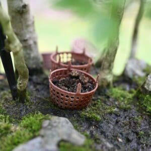 Miniature baskets filled with tiny berries nestled among moss.