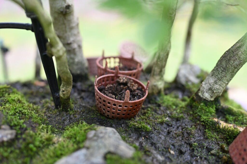 Miniature baskets with soil, placed among moss and small plants.