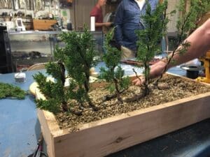 A small bonsai tree display in a wooden tray on a table.