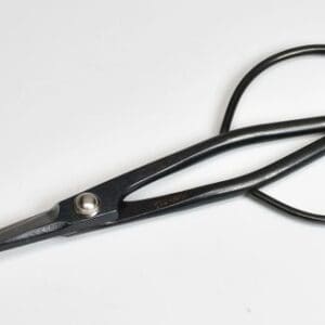 Black pruning scissors on white background.