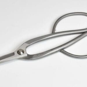 Silver pruning shears on white background.