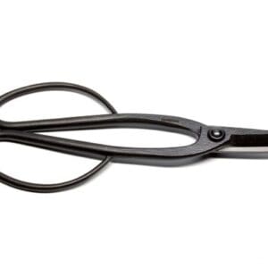 black loop-handled metal scissors on white