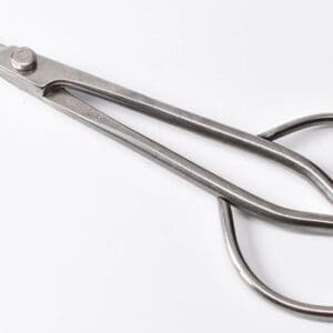 Steel scissors on a white background.