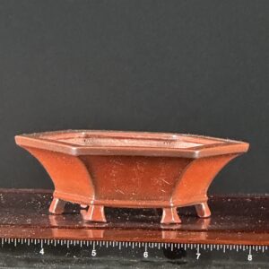 Hexagonal red bonsai pot with ruler.