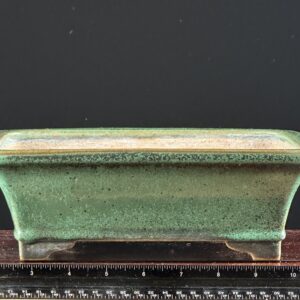 Rectangular green bonsai pot with ruler.