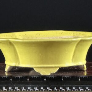 Yellow ceramic bowl with measuring ruler.