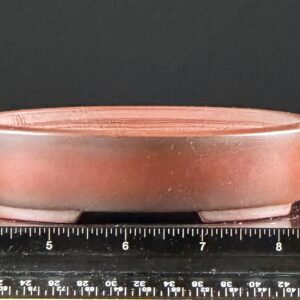 Red ceramic pot with ruler for scale.