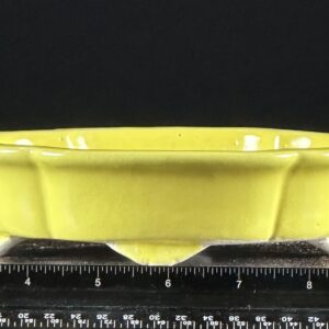 Yellow ceramic dish with ruler for scale.