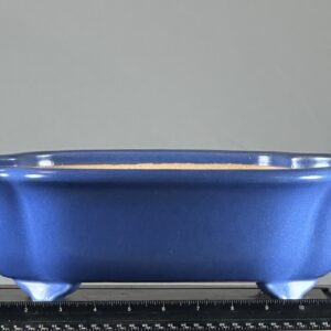 Blue ceramic bonsai pot on ruler.