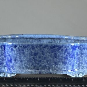 Blue ceramic dish with ruler underneath.