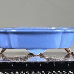 Blue ceramic planter on ruler surface.
