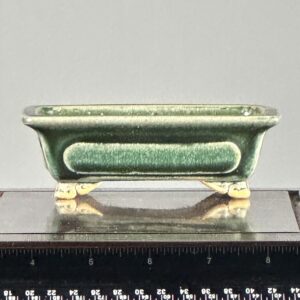 Green rectangular bonsai pot on display stand.
