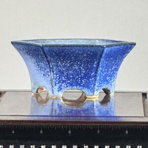Blue ceramic bonsai pot on table.