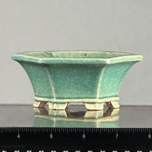 Green hexagonal bonsai pot with feet.