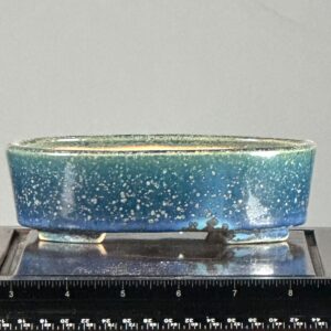 Blue ceramic bonsai pot with measuring scale.