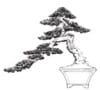 Ink style windswept bonsai tree in pot