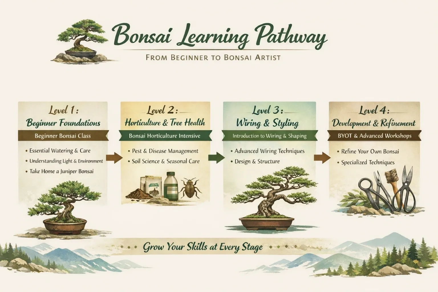 Bonsai learning pathway infographic showing four levels